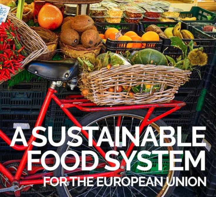 sustainable-food-system Home | EURAGRI